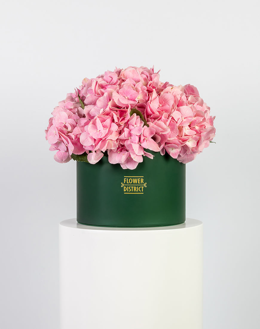 Pink Hydrangea in Large Green Box Arrangement