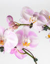 Pink Orchid Large Double Gold Vase - Image 2