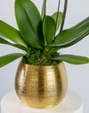 Pink Orchid Large Double Gold Vase - Image 3