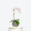 Pink Orchid Mini Single Silver Vase