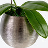 Pink Orchid Mini Single Silver Vase