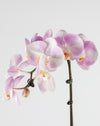 Pink Orchid Single Large Gold Vase - Image 2