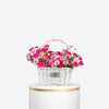 Pink Radiance Chrysanthemum Basket