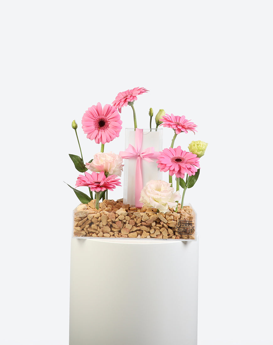 Pink Whisper Small Acrylic Tray With Money Box