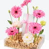 Pink Whisper Small Acrylic Tray With Money Box