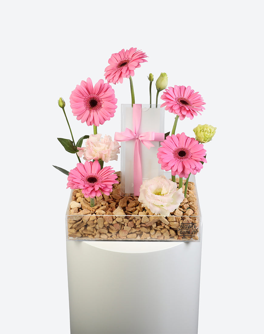 Pink Whisper Small Acrylic Tray With Money Box - Image 2
