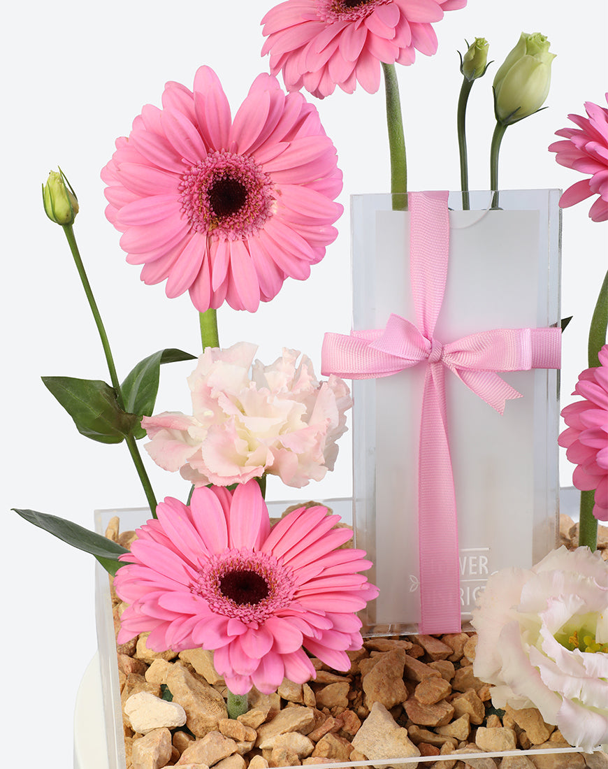 Pink Whisper Small Acrylic Tray With Money Box - Image 3