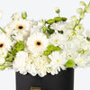Pure Elegance White & Cream Large Box Arrangement