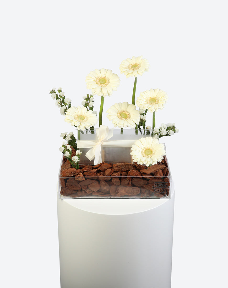 Pure Grace Small Acrylic Tray With Money Box - Image 2