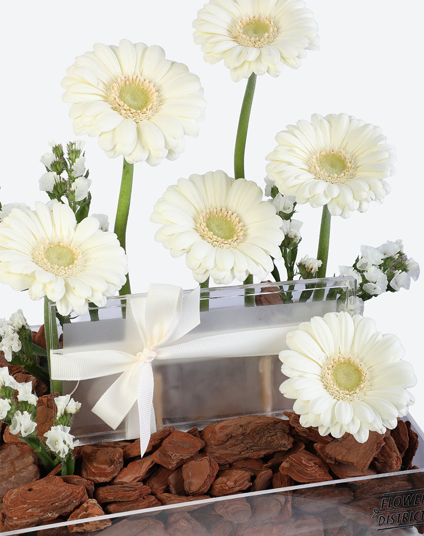 Pure Grace Small Acrylic Tray With Money Box - Image 3