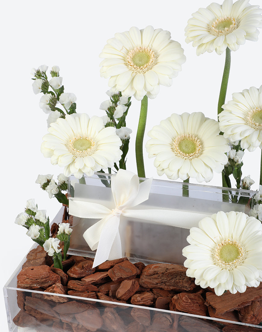 Pure Grace Small Acrylic Tray With Money Box - Image 4