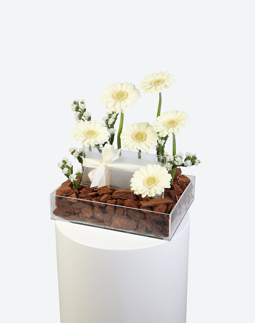 Pure Grace Small Acrylic Tray With Money Box - Image 5