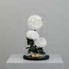 Pure White Twin Preserved Rose Dome Big