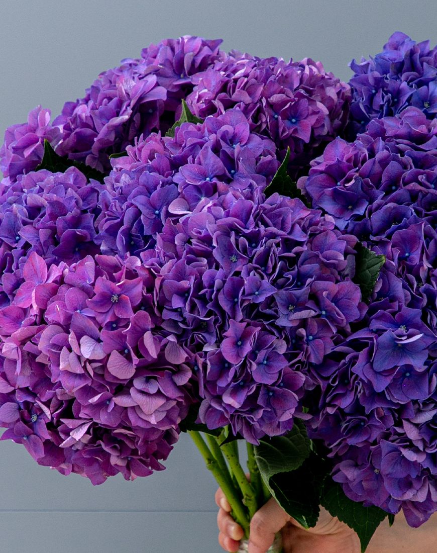 Purple Hydrangea Bouquet - Image 8