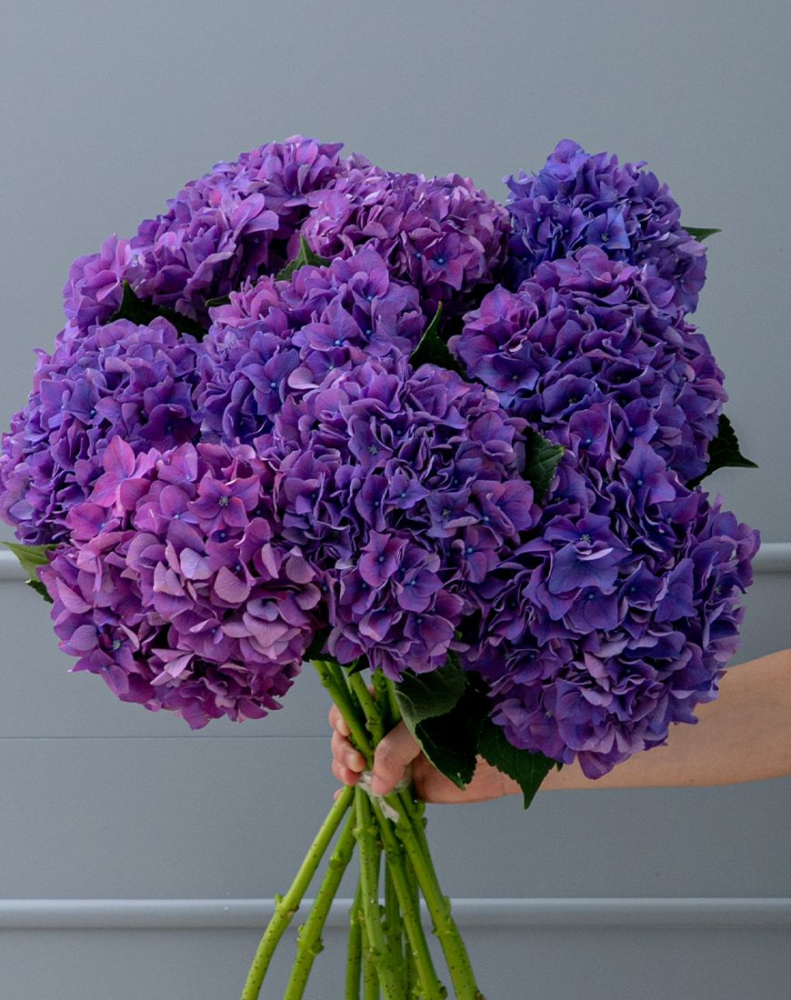 Purple Hydrangea Bouquet - Image 12