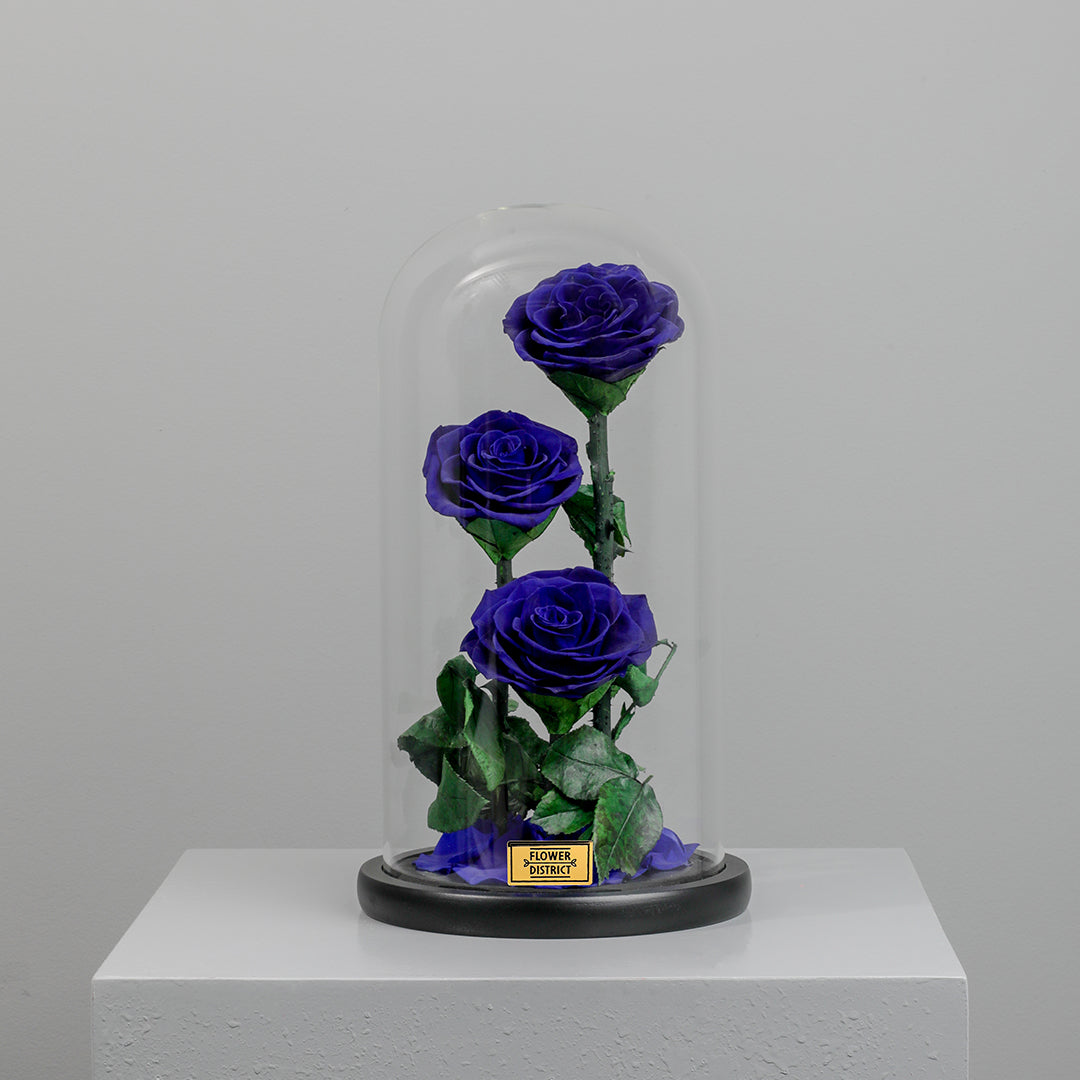 Royal Blue Twin Preserved Rose Dome Big