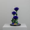 Royal Blue Twin Preserved Rose Dome Big