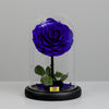 Sapphire Blue Small Preserved Rose Dome