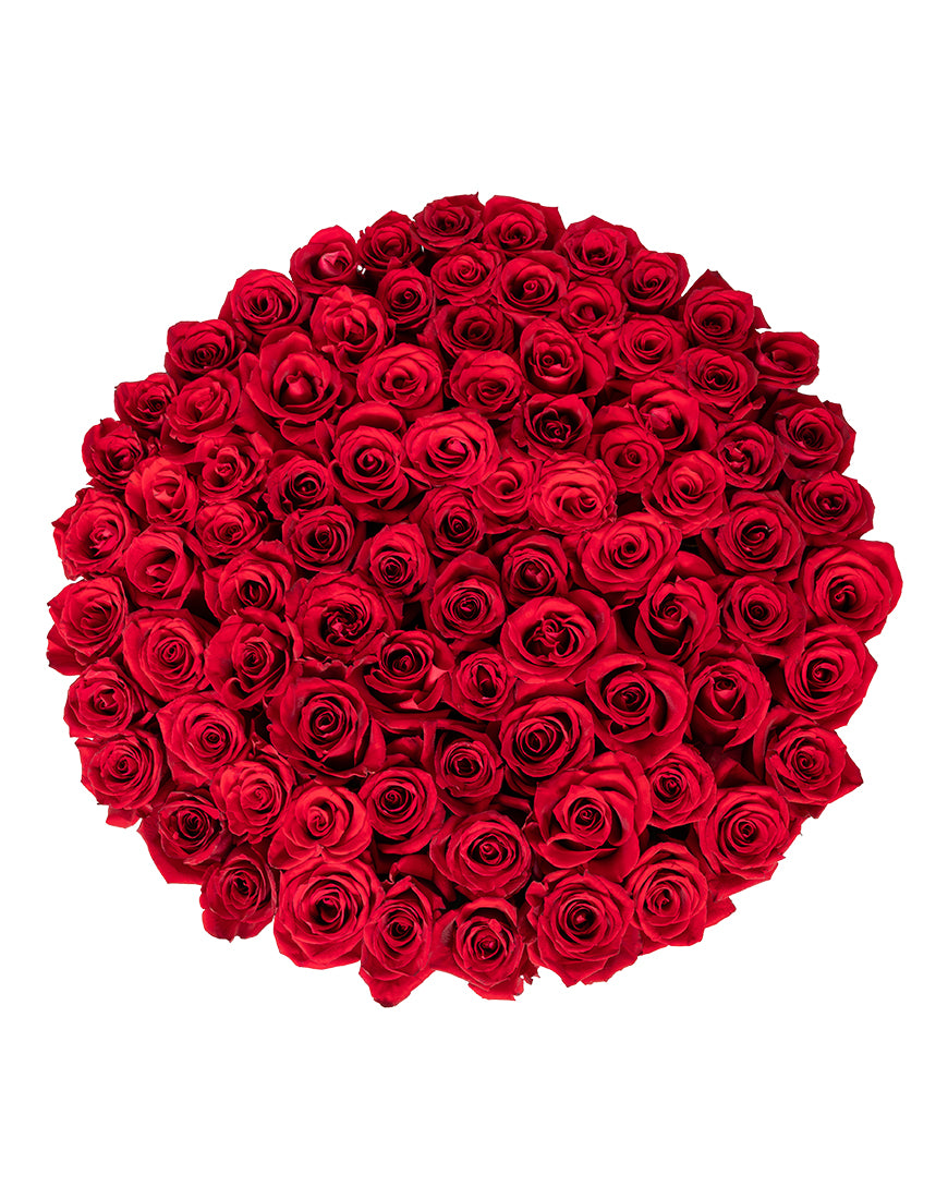 Scarlet Luxury Large Red Rose Box Arrangement - Image 3