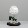 Snow White Single Preserved Rose Dome