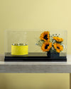 Sunflower & Yellow Cake Box