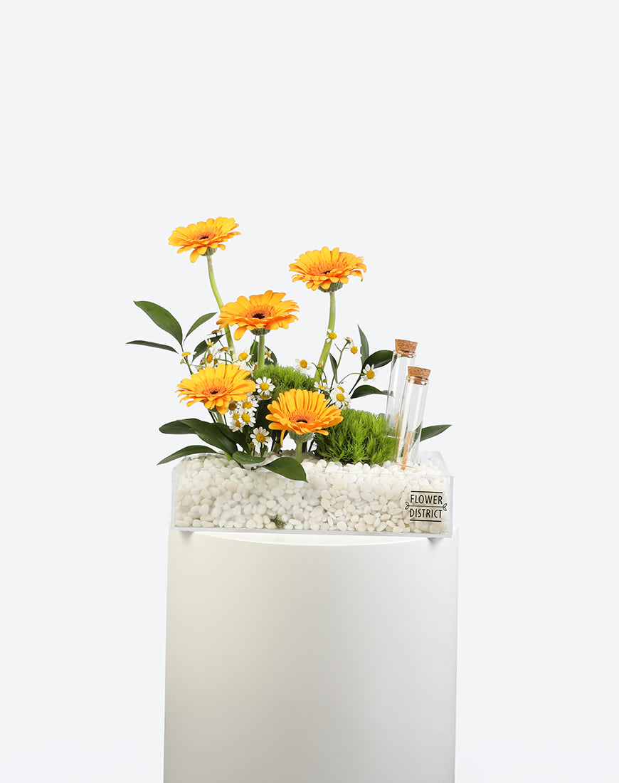 Sunny Glow Small Acrylic Tray With Money Tube