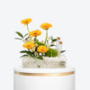 Sunny Glow Small Acrylic Tray With Money Tube