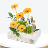 Sunny Glow Small Acrylic Tray With Money Tube