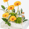 Sunny Glow Small Acrylic Tray With Money Tube