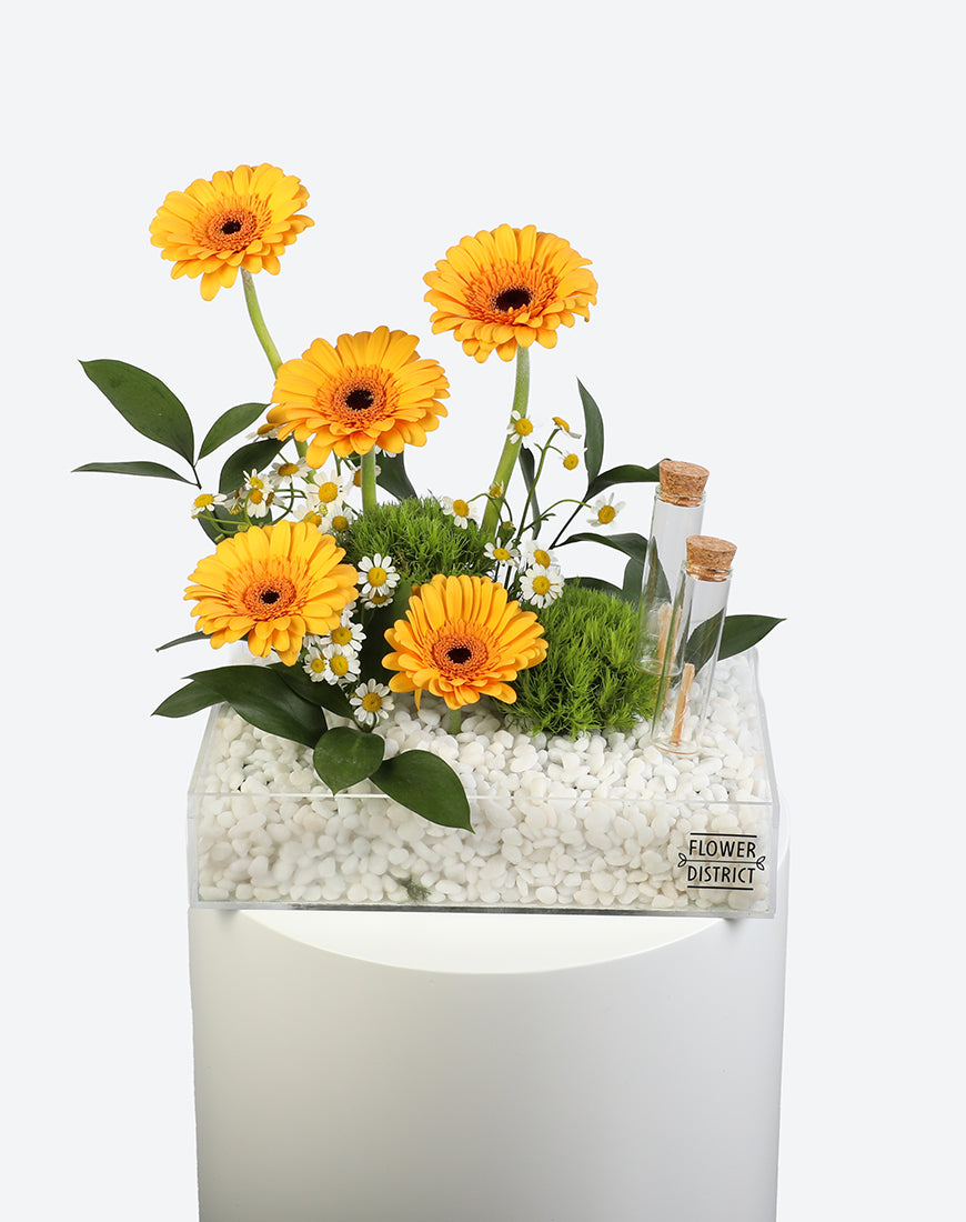 Sunny Glow Small Acrylic Tray With Money Tube - Image 2