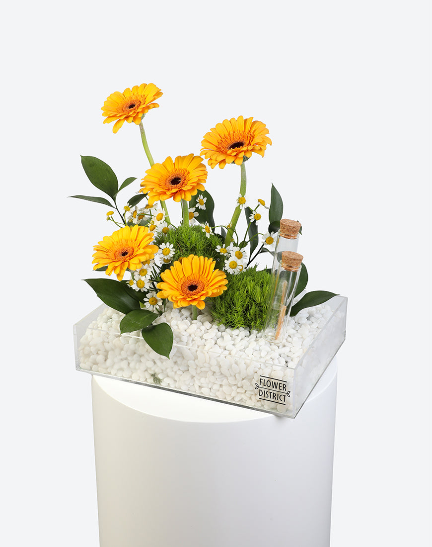 Sunny Glow Small Acrylic Tray With Money Tube - Image 5