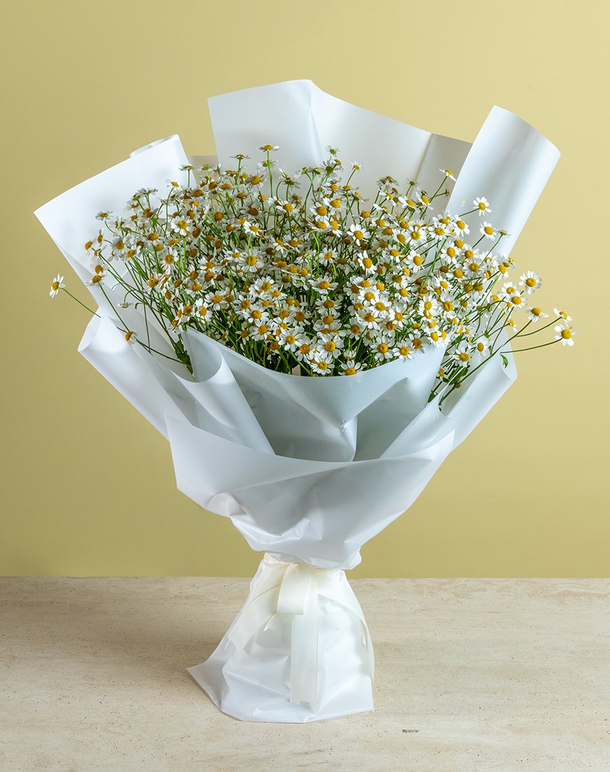 Tanacetum Bouquet - 10 Stems