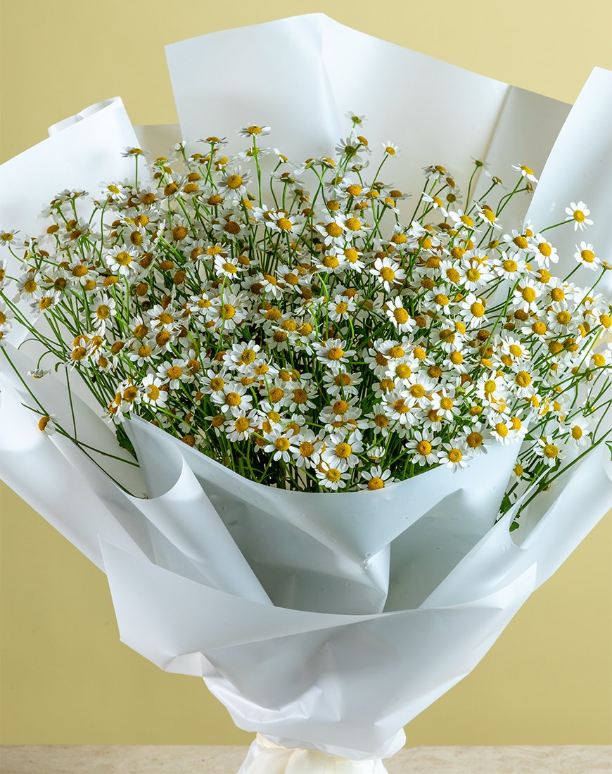 Tanacetum Bouquet - 10 Stems - Image 2