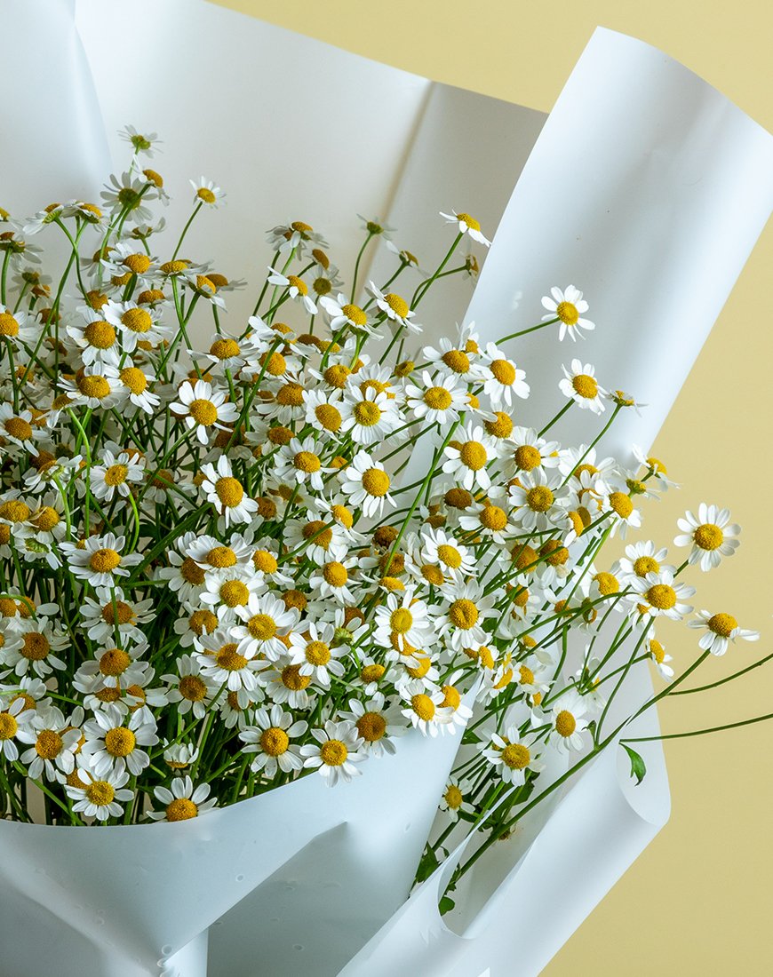 Tanacetum Bouquet - 10 Stems - Image 3