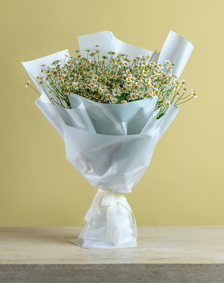 Tanacetum Bouquet - 10 Stems - Image 4