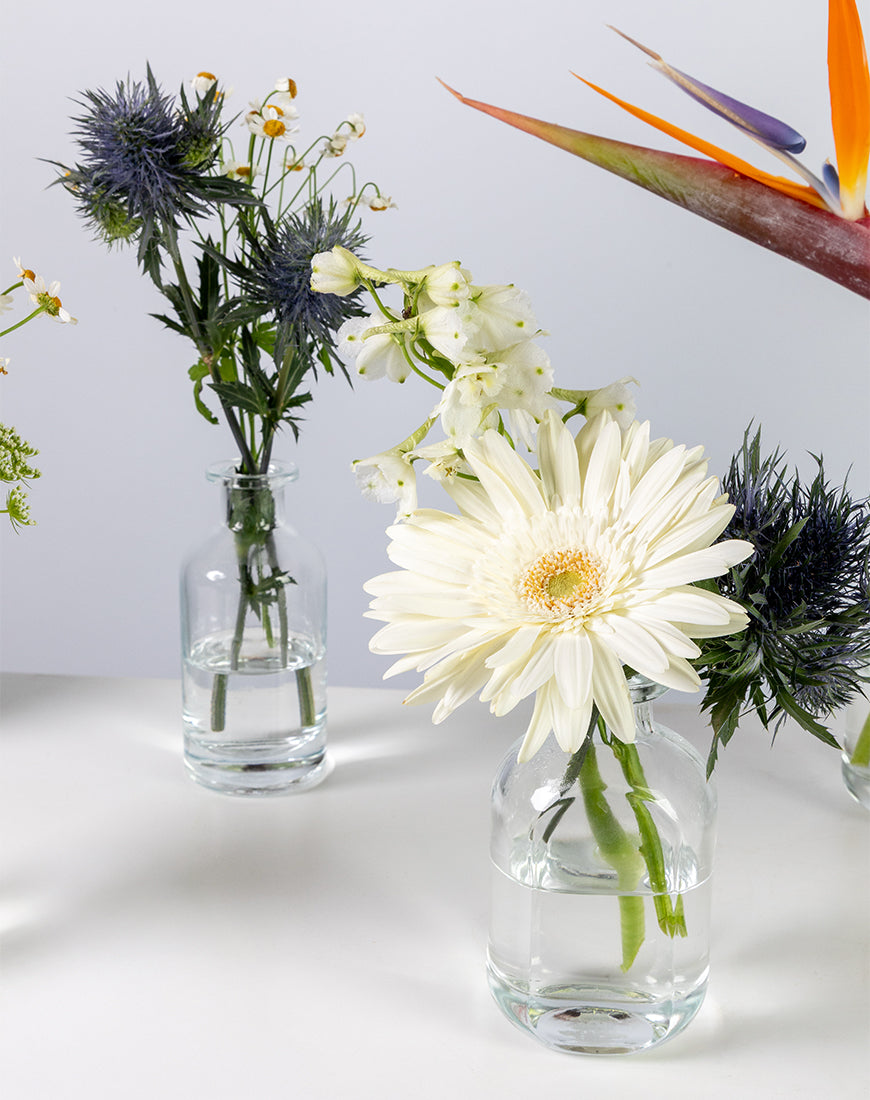 Tropical Charm Glass Bottle Flower Set - Image 3
