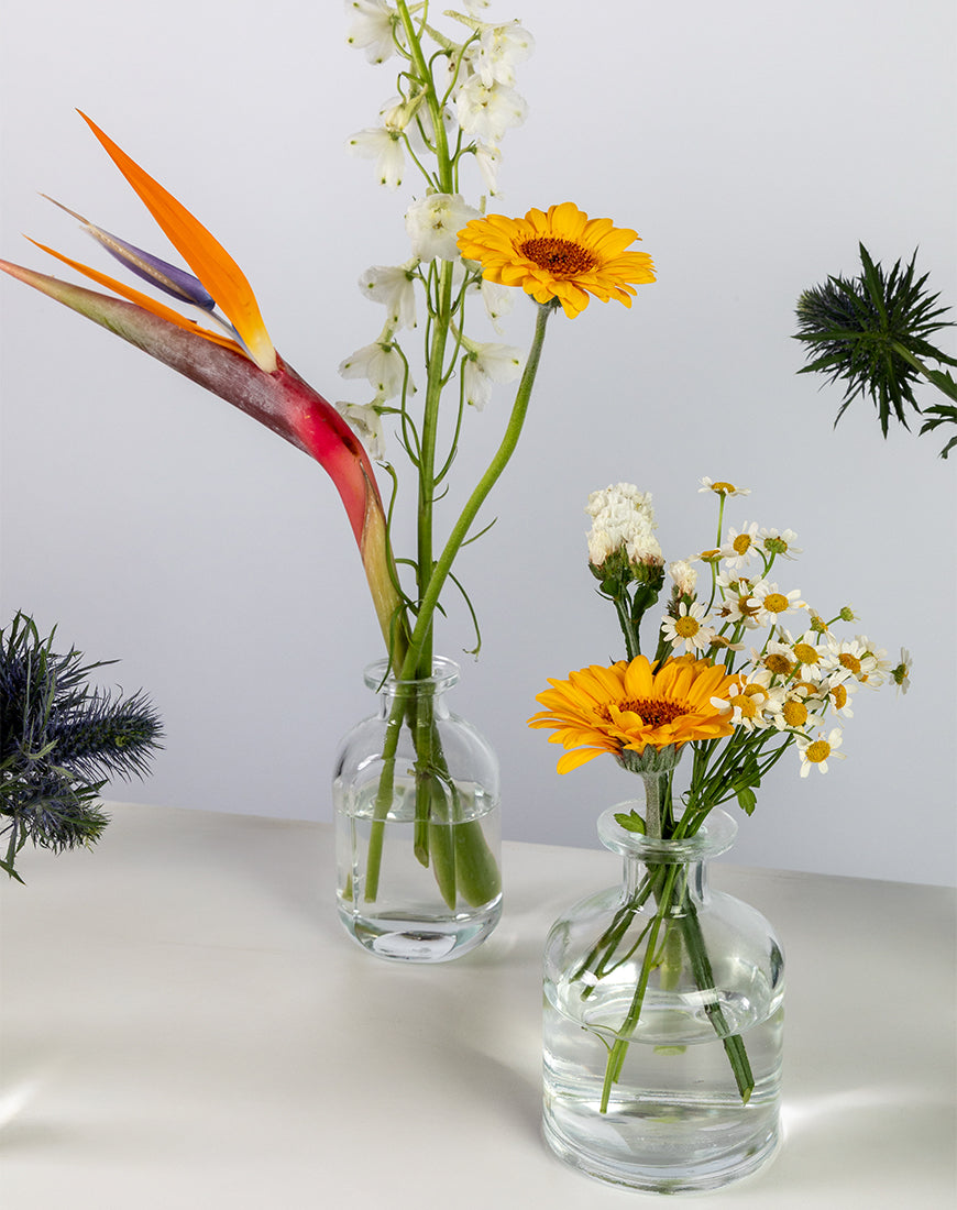 Tropical Charm Glass Bottle Flower Set - Image 4