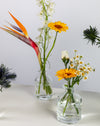Tropical Charm Glass Bottle Flower Set - Image 4