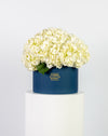 White Hydrangea in Large Blue Box Arrangement