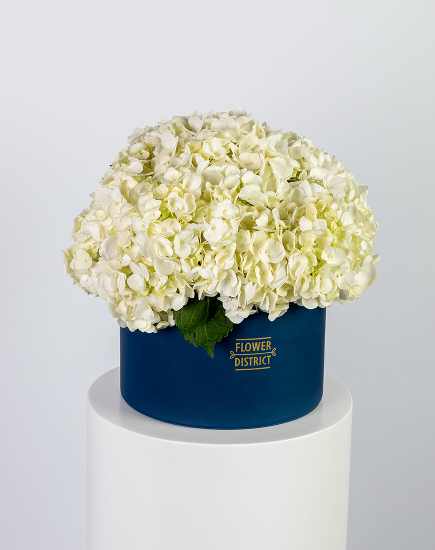 White Hydrangea in Large Blue Box Arrangement - Image 2
