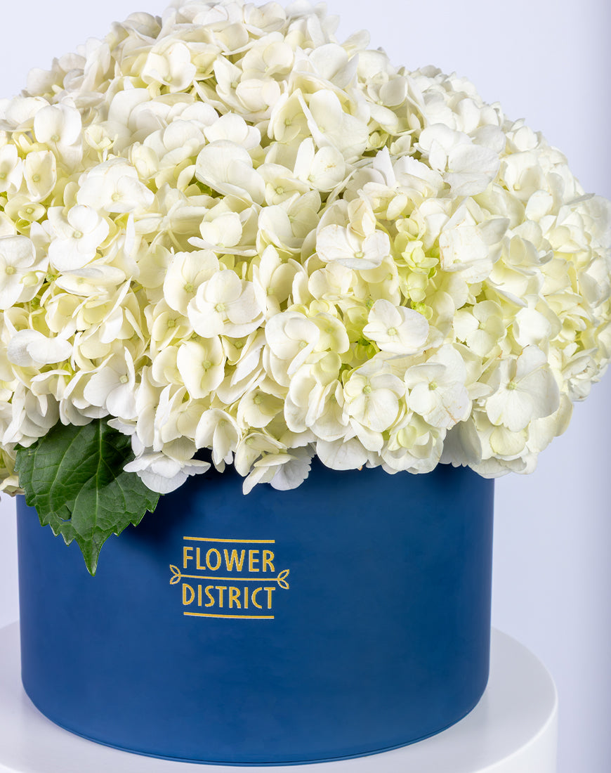 White Hydrangea in Large Blue Box Arrangement - Image 3