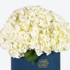 White Hydrangea in Large Blue Box Arrangement