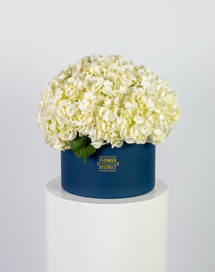 White Hydrangea in Large Blue Box Arrangement - Image 4