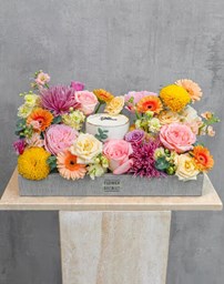 Picture for category Tray Arrangement