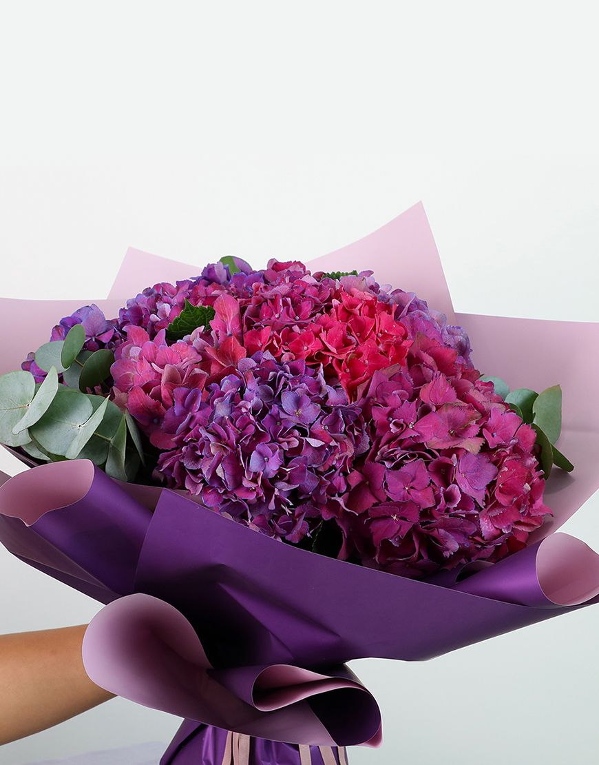 Picture of Mix Purple Hydrangea