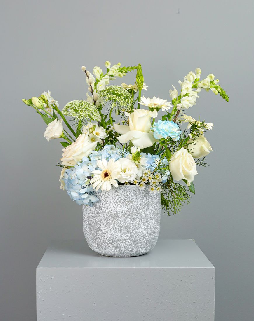 Picture of Antirrhinum White Vase