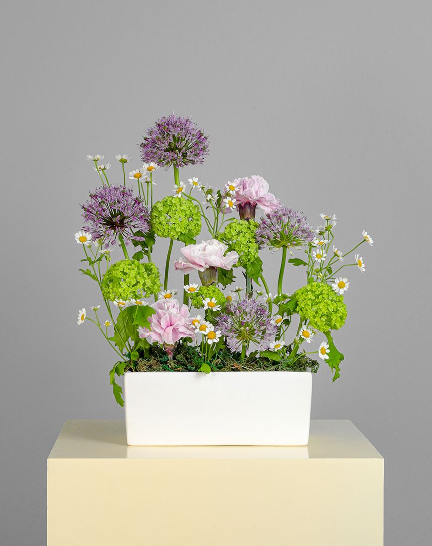 Picture of Velvet Violet Flower Box