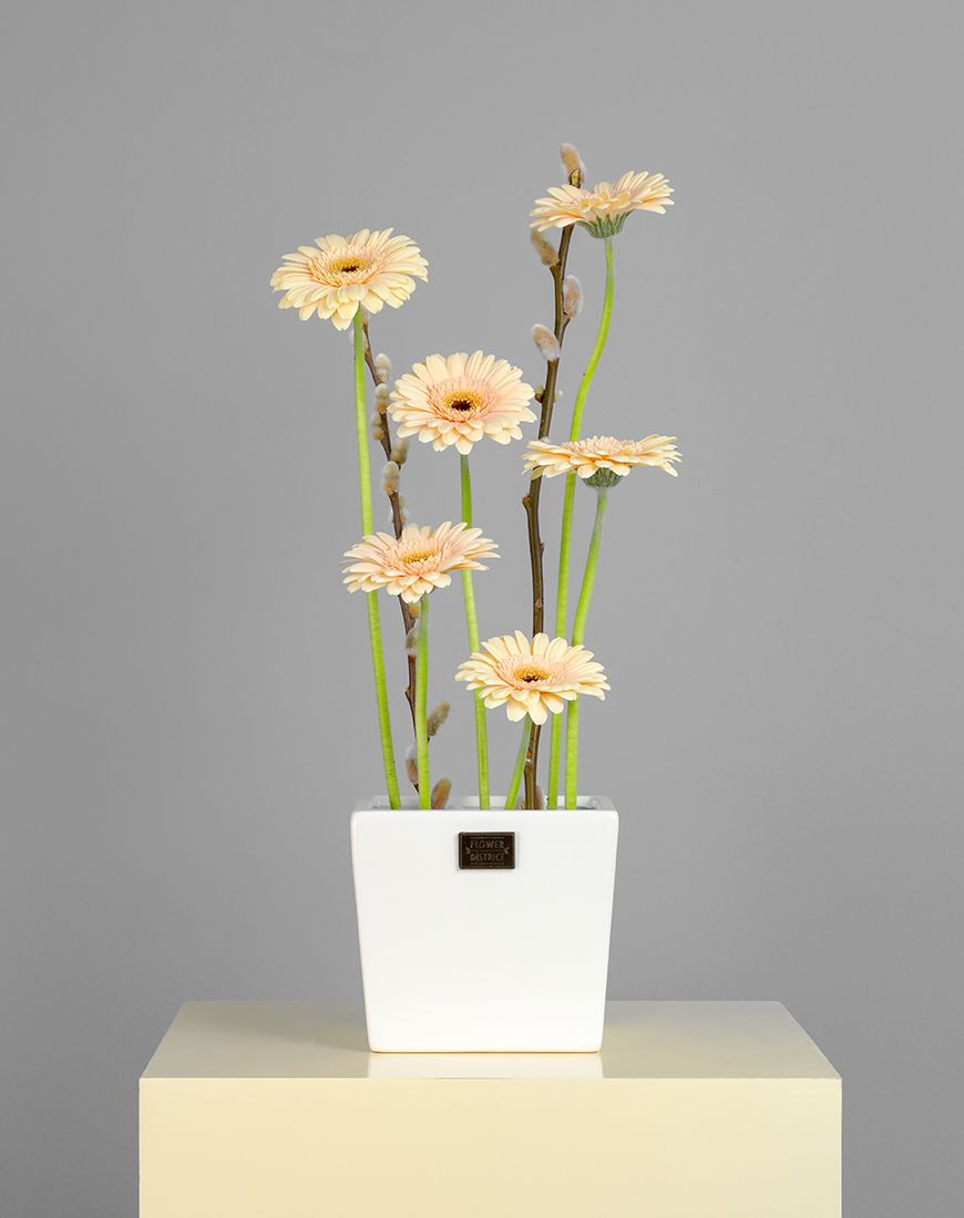 Picture of Spring Delight Gerbera Vase