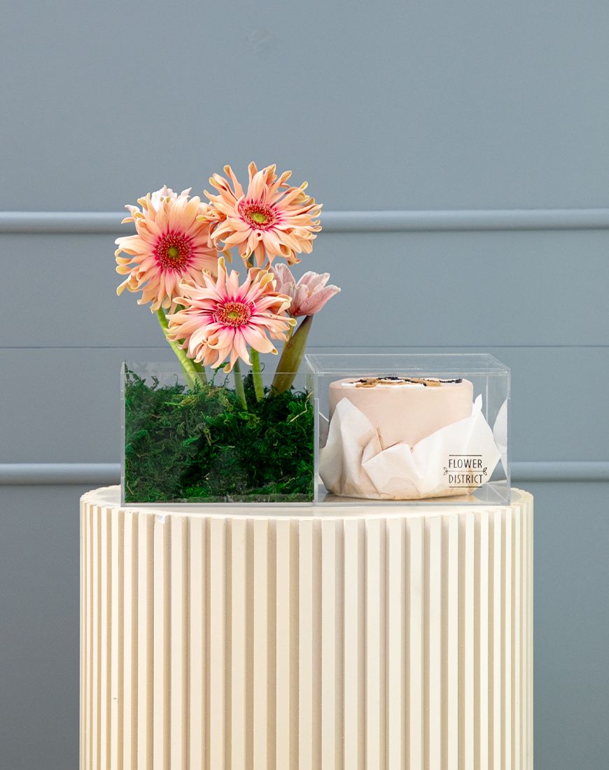 Picture of Pasta Gerbera Cake