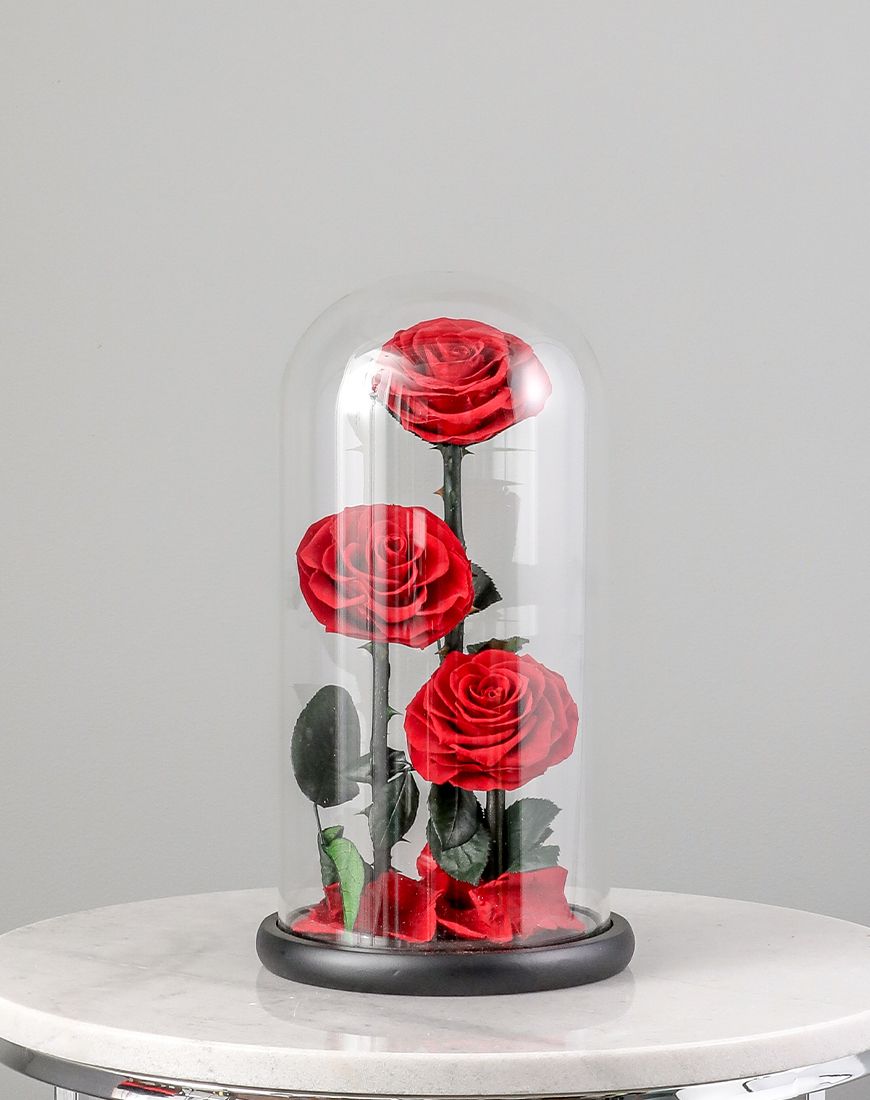 Picture of Valentine's Day Red Forever Rose Large